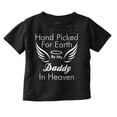 thumbnail image 1 of Hand Picked By Daddy in Heaven Toddler Boy Girl T Shirt Infant Toddler Brisco Brands 12M, 1 of 6