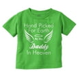 thumbnail image 1 of Hand Picked By Daddy in Heaven Toddler Boy Girl T Shirt Infant Toddler Brisco Brands 2T, 1 of 6