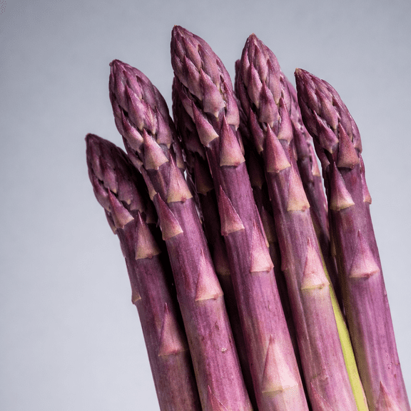 Hand Picked Nursery Purple Passion Asparagus Bare Root Live Plant Vibrant Purple Spears(5 Count)
