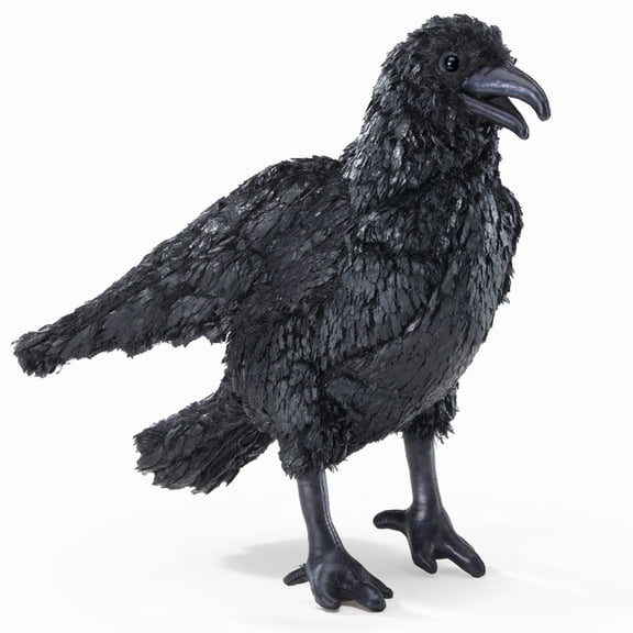 Crow Puppet, (Hardcover)