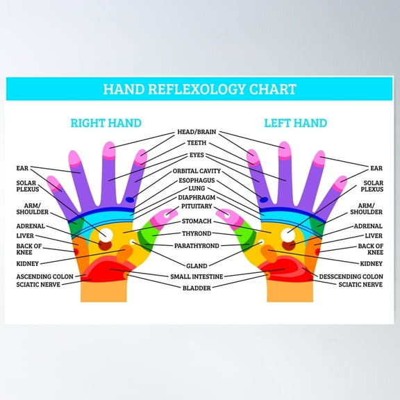 Hand Reflexology Chart Poster Wall Art, Modern Wall Decor For Living Room Bedroom, 24x36 UNFRAMED
