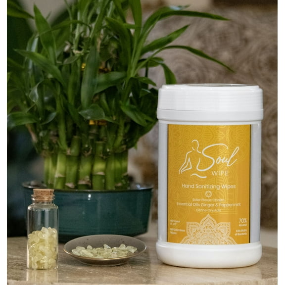 Hand Sanitizer Made With Essential Oils of Peppermint and Ginger Pure Essential Oils Solar Plexus Aromatherapy