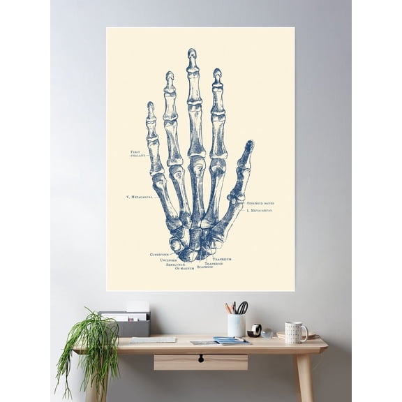 Hand Skeletal Diagram Poster Wall Art, Modern Wall Decor For Living Room Bedroom, 8x12 UNFRAMED