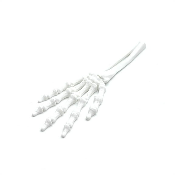 Hand Skeleton Decoration Ornament Festival Horror Props 3D Printed Toys, With Articulated Joints Detailed Structure, Ideal For Tabletop And Wall Display Gothic Home Decor