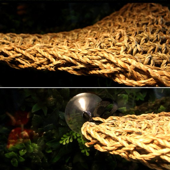 Hand Woven Seagrass Triangular Climbing Hammock for Lizards, Horned Frogs, Spiders & Scorpions with 3 Suction Cups and Ropes, 13.0x13.0x15.4in