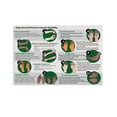thumbnail image 1 of Hand & Wrist Exercises for Seniors Finger Stretches, Stroke Rehab Canvas for Bedroom Living Room Decor Posters, 1 of 6