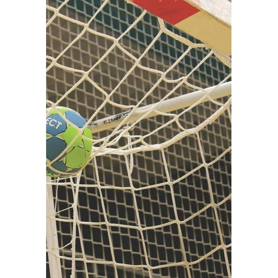 Handball Trainingsbuch : Planen, üben und umsetzen mit diesem Traingstagebuch I Führe Protokoll zu deinem Handballtraining I 6x9 Format I Motiv: Handball Tor (Paperback)