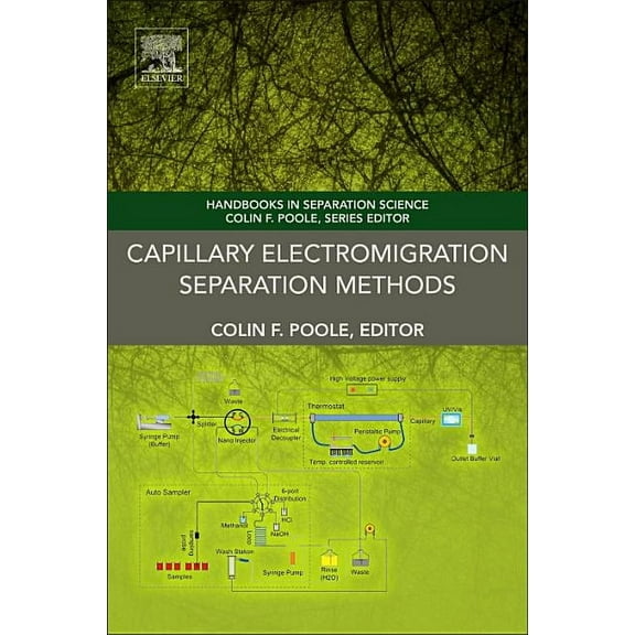 Handbooks in Separation Science Capillary Electromigration Separation Methods, (Paperback)