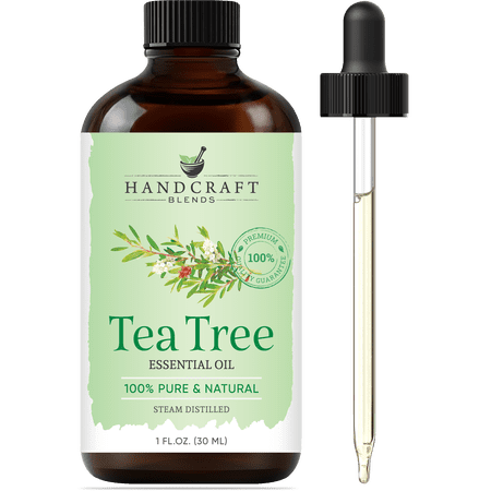 Handcraft Blends Tea Tree Essential Oil - 100% Pure and Natural - Premium Grade Essential Oil for Diffuser and Aromatherapy - 1 Fl Oz