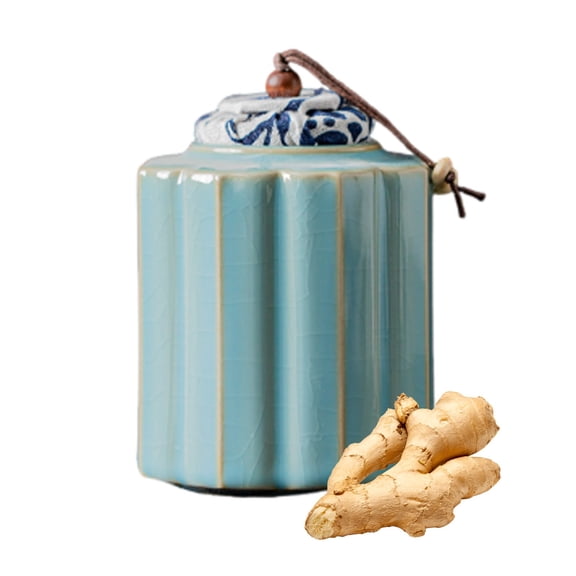 Handcraft Ceramic Ginger Jar with Lid, Chinese Style Tea Caddy,Tradition Decorative Tea Containers, Storage Jar For Home Decoration