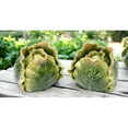 thumbnail image 1 of Handcrafted Ceramic Cabbage Salt and Pepper Shakers Gift, 1 of 3