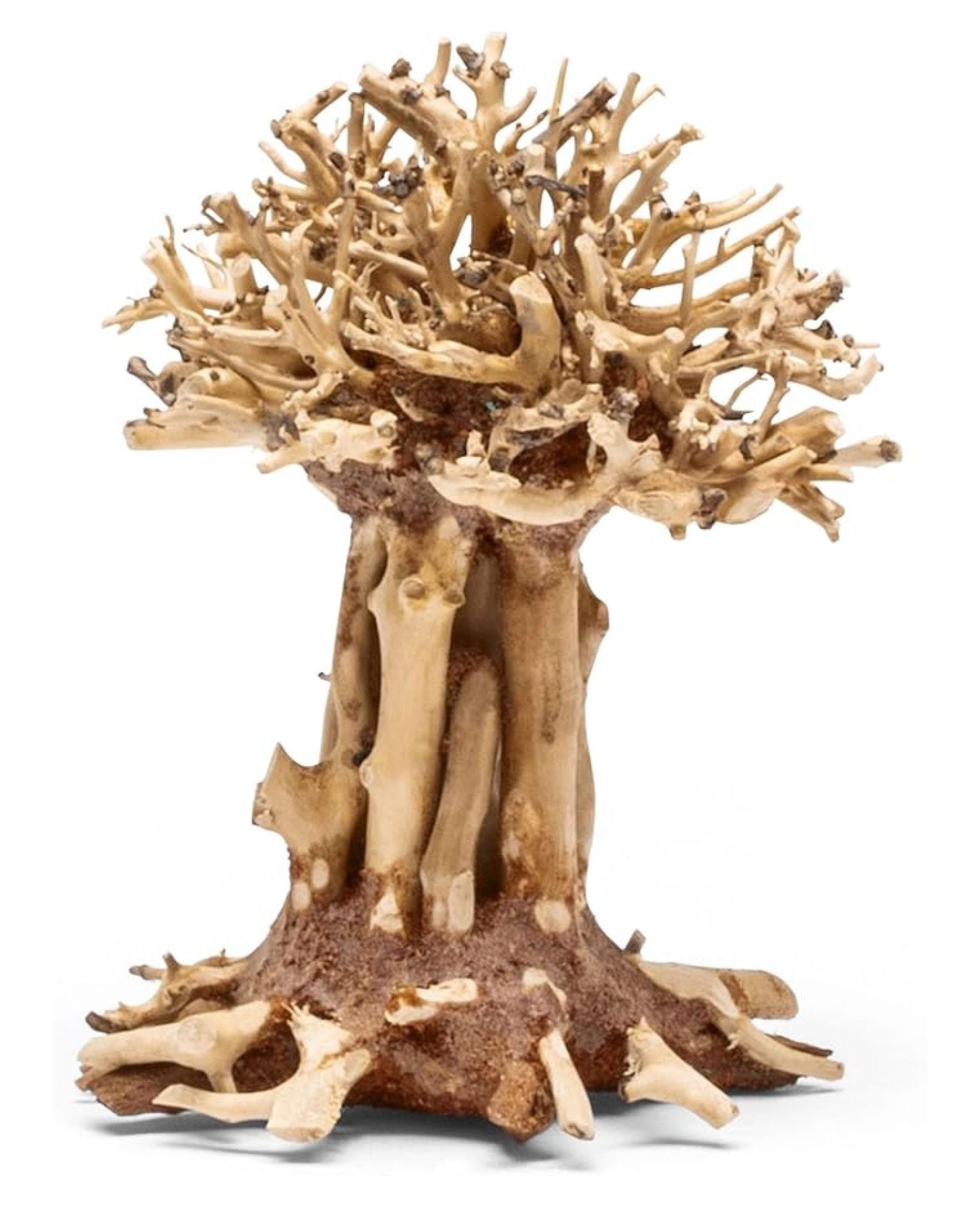 - Handcrafted Hardscape Driftwood for Aquarium, Terrarium, Vivarium, Natural Aquascape Hardscape Decorations, Aquascaping Hardscape for Live Aquatic Plants - 007, Small