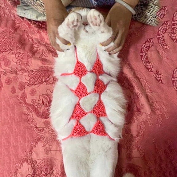 Handcrafted Pet Cat Bikini Costume for Small Dogs, Cotton Linen Soft Material Adjustable Strap, Cute Summer Photo Outfit for Daily Wear and Holidays