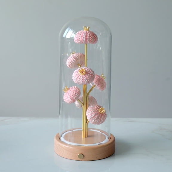 Handcrafted Sea Urchin Shell Night Light, USB Rechargeable Touch Dimmable Warm Lamp, Coastal Beach Decor for Bedroom Living Room