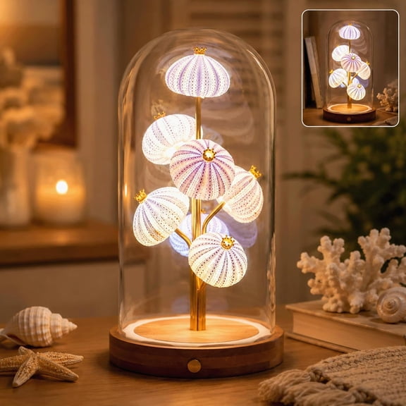 Handcrafted Sea Urchin Shell Night Light, USB Rechargeable Warm LED Glass Dome Lamp, Coastal Beach Decor for Bedroom, Desk, Shelf Gift