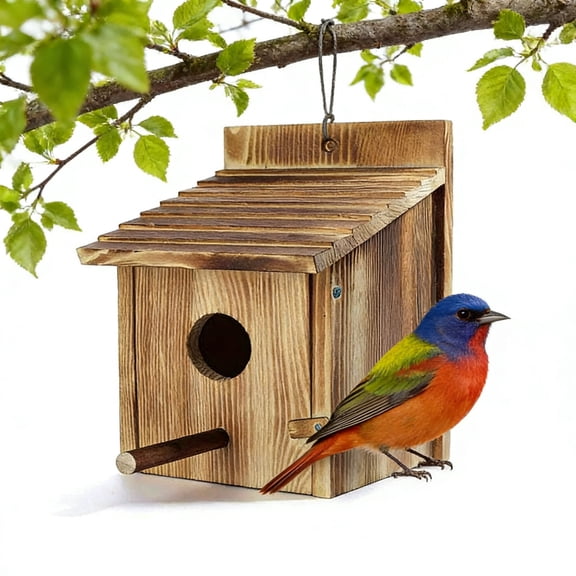 Handcrafted Wooden Birdhouse for Outside Hanging, Transparent Observation Box with Clear Window for Kids & Adults, DIY Paintable Home for Finch Hummingbird Bluebird Garden Deck Decor