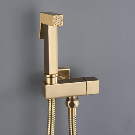 Handheld Bidet Sprayer Kit Booster Sprayer Single Cold Bathroom Tap Wall-Mounted Multi-Function Toilet Bidet Douche