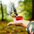 thumbnail image 1 of Handheld Hummingbird Feeder | Pentagram Shape | Multiple Feeding Ports | Leak-Resistant Easy Clean | Attracts Hummingbirds for Garden Patio Decor | Durable ABS | Single Pack, 1 of 8