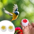 thumbnail image 1 of Handheld Hummingbird Feeders (2Pcs) with Window Mount Suction Cup, Small Plastic Hummingbird Feeder for Outdoors, Mini Window Humming Birds Feeders, 1 of 5