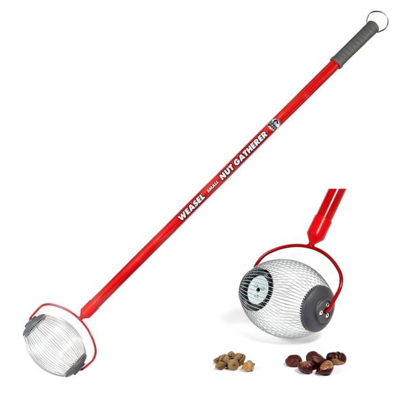 Handheld Nut Picker Upper Tool Collects Acorns Buckeyes Small Yard Cleanup NEW