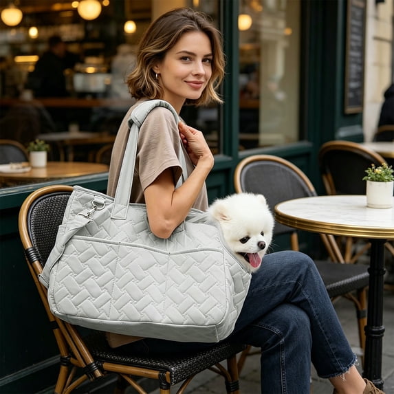 Handheld Shoulder Pet Carrier Bag for Small Dogs and Cats – Foldable Lightweight Travel Tote with Breathable Mesh for Vet Visits, Hiking, and Car Rides