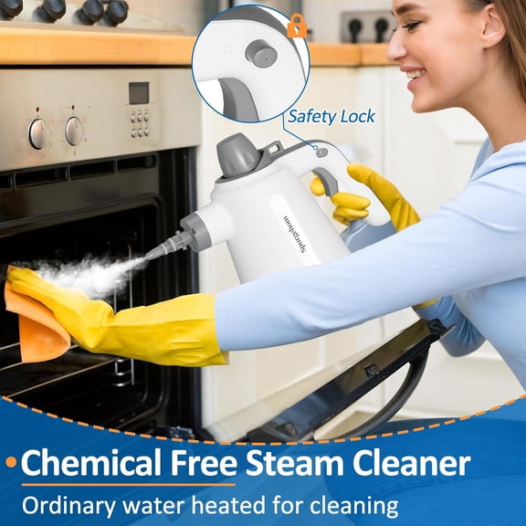 Handheld Steam Cleaner with 11 PCS Accessories, Portable Steamer for Home Car Window Cleaning