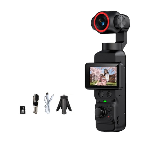 Handheld Video Camera with Motion Stabilization and Face Following