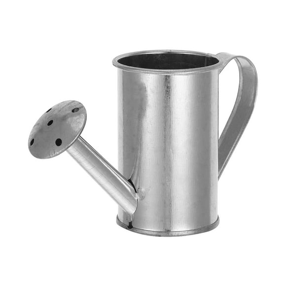 Handheld Watering Can For Indoor And Outdoor Plants Decorative And Functional Metal Watering Pot Galvanized Iron Watering Can Tall Watering Pot,Small Watering Can For Kids