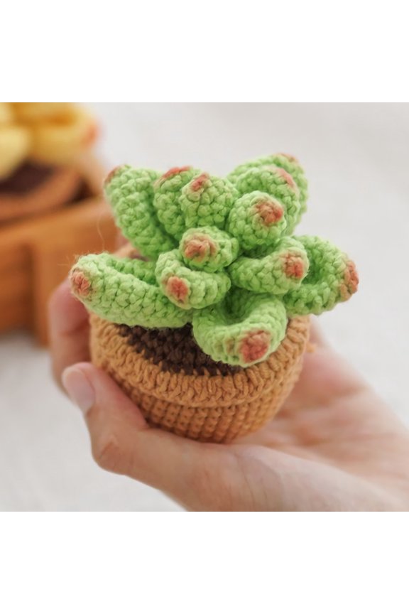 Handknitted Crochet Mini Succulent Plant for Home Decor