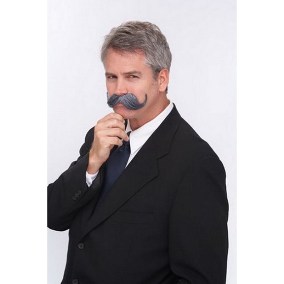 Handle Bar Grey Costume Mustache Adult One Size