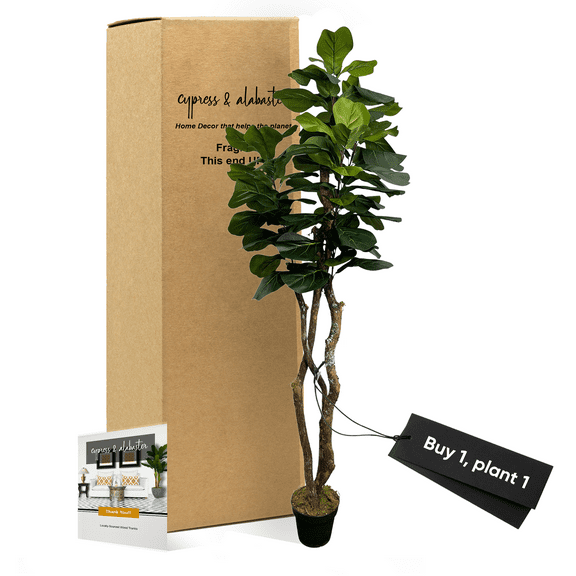 Handmade 6' Artificial Fig Tree, Natural Style Fake Tree with Real Wood Trunks by Cypress & Alabaster