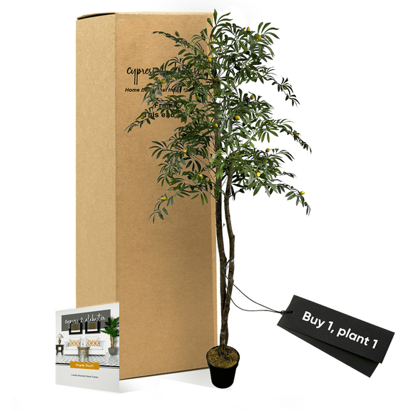 Handmade 6' Artificial Olive Tree, Fake Tree with Real Wood Trunks by Cypress & Alabaster