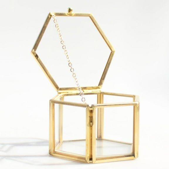 Handmade Brass Mini-Greenhouse Terrarium Plant Pots for Home Tabletop Decorations - - 8 x 6..5 cm