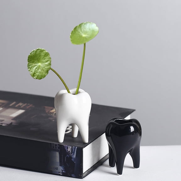 Handmade Ceramic Tooth Planter for Cactuses, Fleshy Plant Container Home Desk Decoration