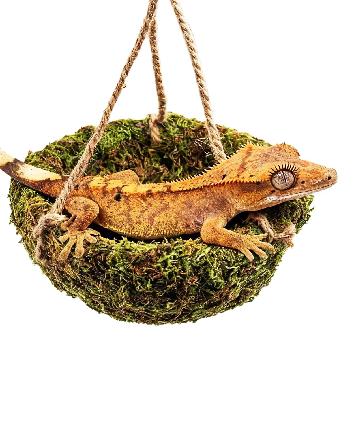 Handmade Crested Gecko Tank Decor – Hanging Shelter, Reptile Hammock for Bearded Dragon, Hermit Crab, Snake and Other Small Reptiles