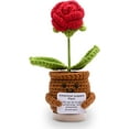 thumbnail image 1 of Handmade Crochet Flower Plant Plush - Cute Emotional Support Desk Decoration, Knitted Wool Doll with Inspirational Card for Birthdays Encourage Gifts Red, 1 of 5