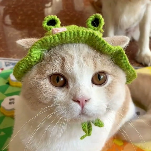 Handmade Knitted Cat Pet Hat For Cats And Dogs Cute Outfit Cartoon Themed Knit Cute Cats Bonnet Holiday Party Clothes Green - Suitable weight:1.5-2KG