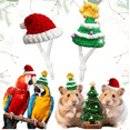 thumbnail image 1 of Handmade Knitted Christmas Pet Hat – Adjustable Hand-Knitted Hat for Hamsters, Parrots & Lizards, Santa Theme, Perfect Xmas Party Costume for Tiny Pets 2PC Red, 1 of 6