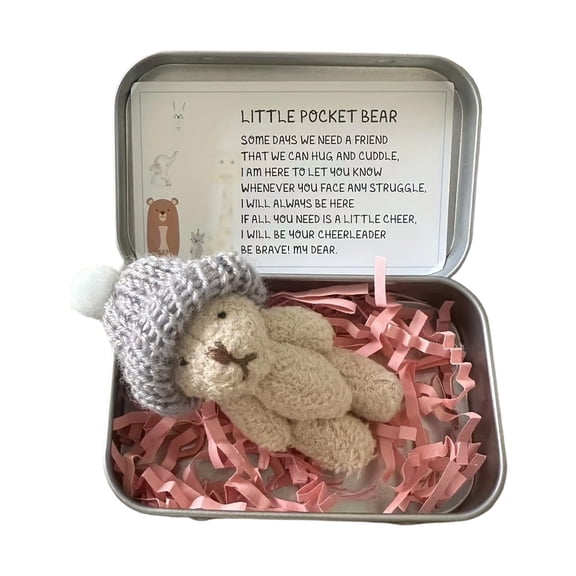 Handmade Mini Plush Teddy Bear in Box, Little Bear in A Box, Mini Pocket Bears Hug Plush with Emotional Uplifting Support Card, Soft Handmade Teddy Keepsake for Lovers(Khaki)