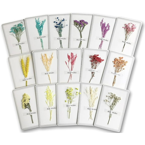 Handmade Real Flower Greeting Cards For All Occasions With Envelopes, Great For Personalized Thinking of You Cards, Unique Thank You Cards, Cute Note Cards