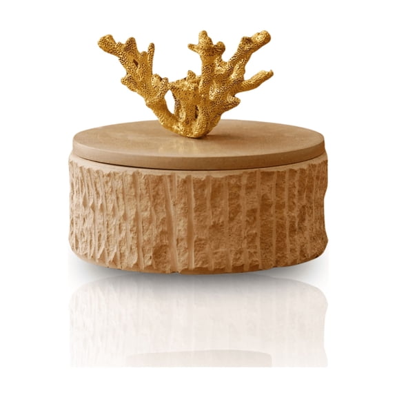 Handmade Travertine Storage Box with Brass Coral Handle, Ribbed Base