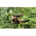 thumbnail image 1 of Handmade Wooden Primitive Paragliding Tribal Statue Sculpture Tiki Bar Handcrafted Unique Gift Home Decor Figurine Hang Gliding Decoration Hand Carved, 1 of 5
