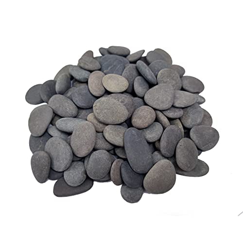 Handpicked 100pcs 1-1.5 inch Small Painting Rocks, Natural River Rocks Smooth Flat Pebbles for Crafts, Painting Activities, DIY Decorative Flower pots Fish Tank (1in-1.5in, 100pcs))