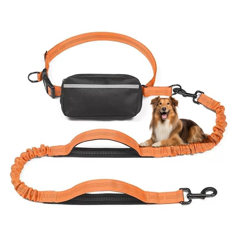 Comfortable Running Leash for Dogs main image 0