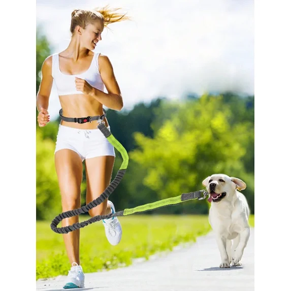 Hands-Free Dog Leash Waist Belt, Retractable for Walking, Jogging & Running