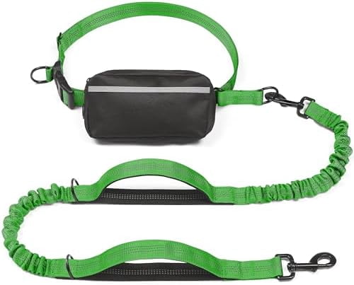 Hands Free Dog Leash with Zipper Pouch, Dual Padded Handles and Durable Bungee for Walking, Jogging and Running Your Dog (Large, 25-120 lbs, Emerald)