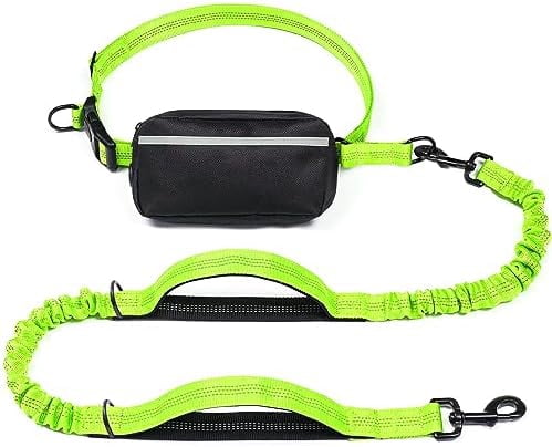 Hands Free Dog Leash with Zipper Pouch, Dual Padded Handles and Durable Bungee for Walking, Jogging and Running Your Dog (Large, 25-120 lbs, Green)