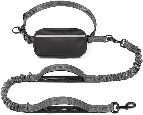 Hands Free Dog Leash with Zipper Pouch, Dual Padded Handles and Durable Bungee for Walking, Jogging and Running Your Dog (Large, 25-120 lbs, Grey)