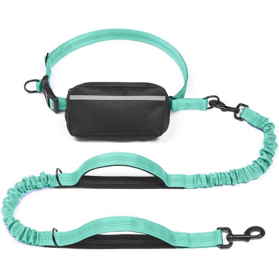 Hands Free Dog Leash with Zipper Pouch, Dual Padded Handles and Durable Bungee for Walking, Jogging and Running Your Dog