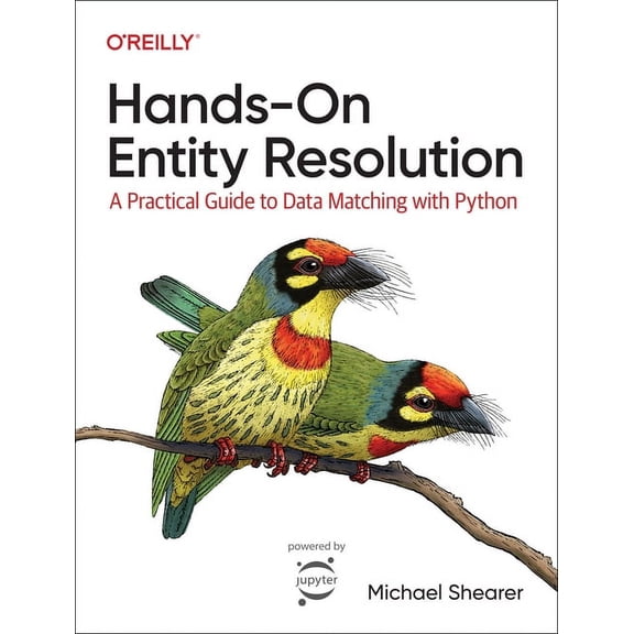 Hands-On Entity Resolution: A Practical Guide to Data Matching with Python (Paperback)